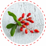 Berberine