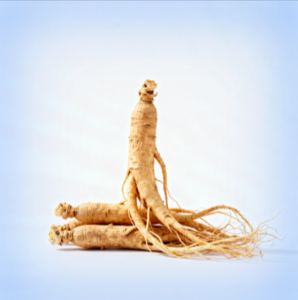 Panax Ginseng Extract